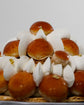 Vanilla Honey Saint-Honoré (Whole) I 雲尼拿蜜糖聖多諾黑泡芙蛋糕(原個)