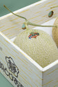 Japanese Shizuoka Crown Melon / Hokkaido Yubari King Melon Cream Cake I 日本靜岡皇冠蜜瓜 / 日本北海道夕張蜜瓜鮮奶油蛋糕
