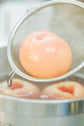 Japanese Yamanashi White Peach Tart I 日本山梨縣もも撻