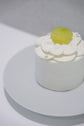 Japanese Shizuoka Crown Melon / Hokkaido Yubari King Melon Cream Cake I 日本靜岡皇冠蜜瓜 / 日本北海道夕張蜜瓜鮮奶油蛋糕