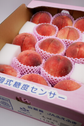 Japanese Peach Pomelo Jin Xuan Tea Nakazawa Cream Shortcake (Whole) I 日本水蜜桃柚香金萱茶中沢純生鮮奶油蛋糕(原個)